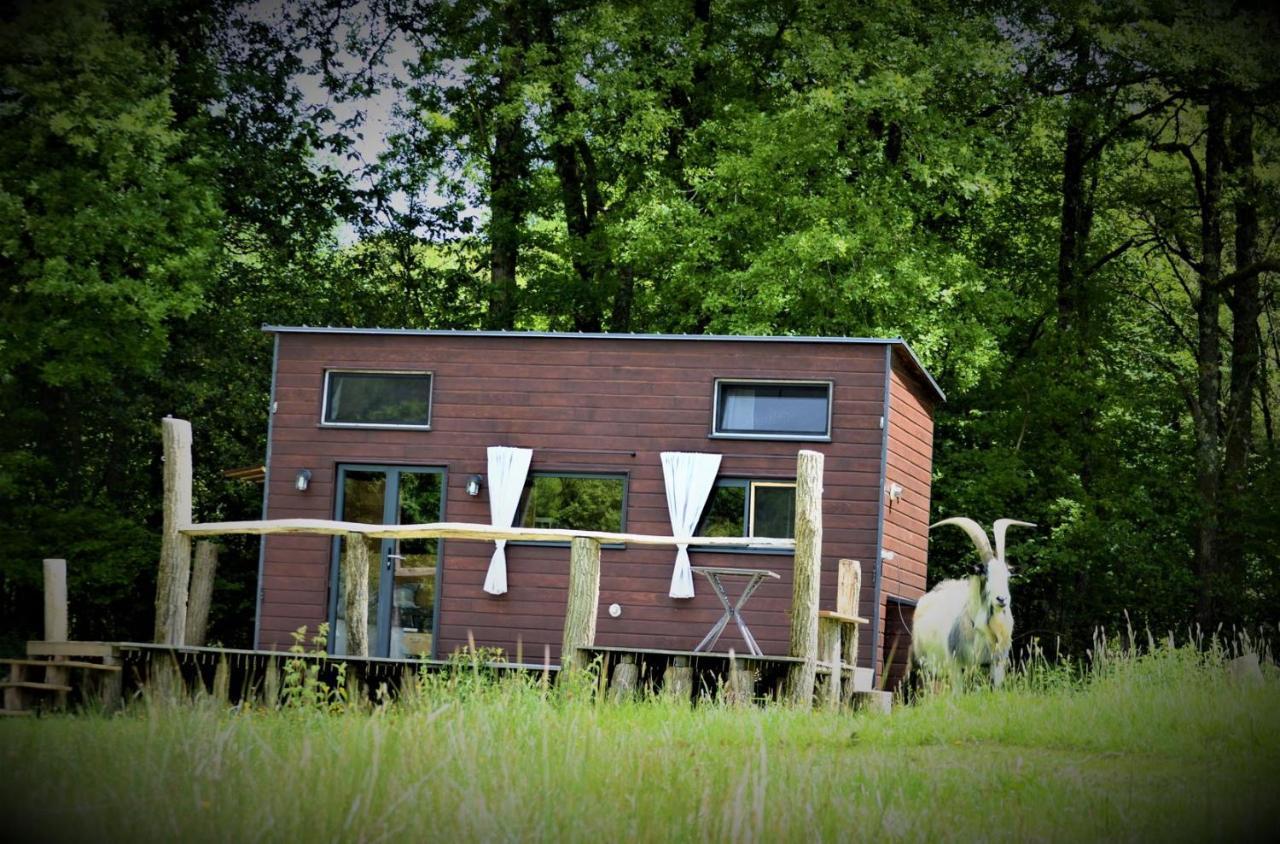 La Tiny House Terra Nostra Apartment Saint-Bazile Bagian luar foto